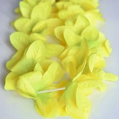 2 Premium Hawaiian Orchid Leis Necklace Various Colors! Wedding Beach Luau Party