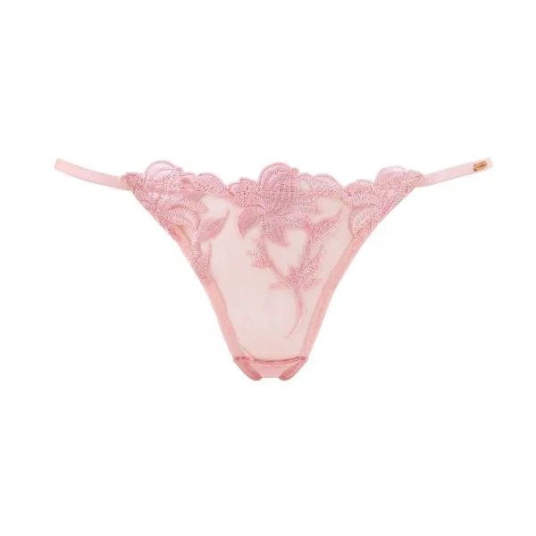 Ariella Brief - Pale Pink -