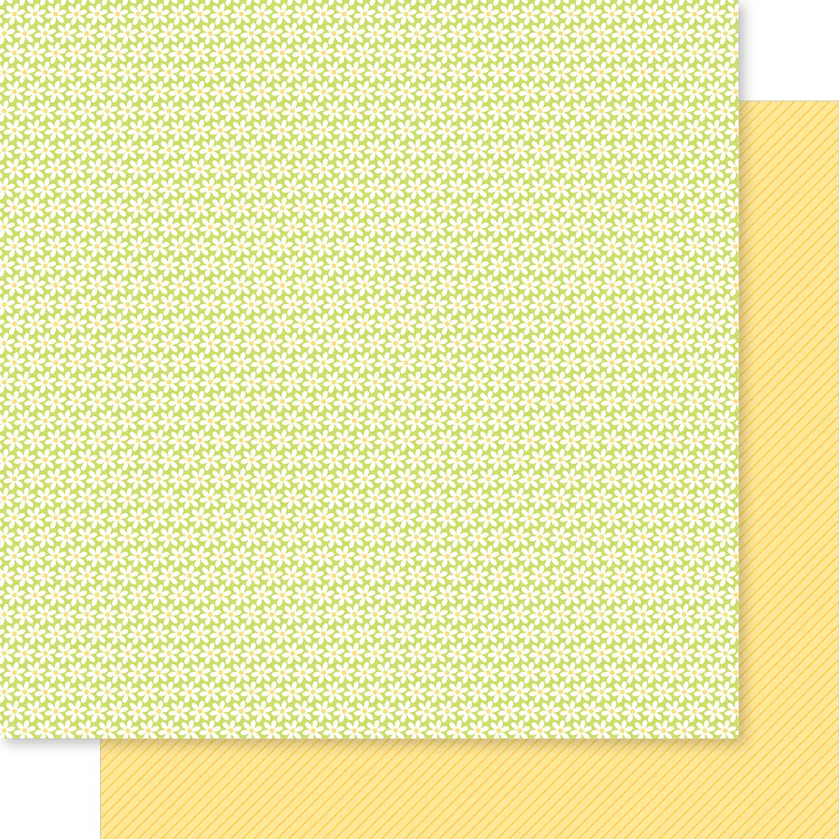 Bella Blvd - Just Because Collection - 12x12 Single Sheets - Dancin' Daisies / BB2880