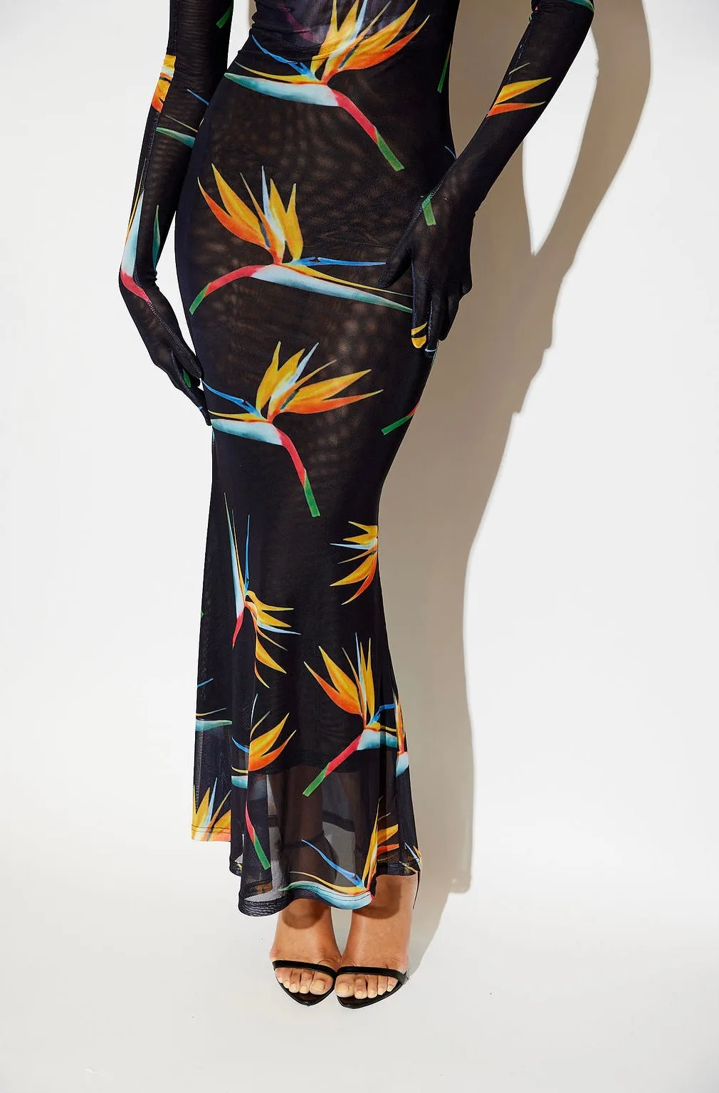 Birds of Paradise Fantasy Gown