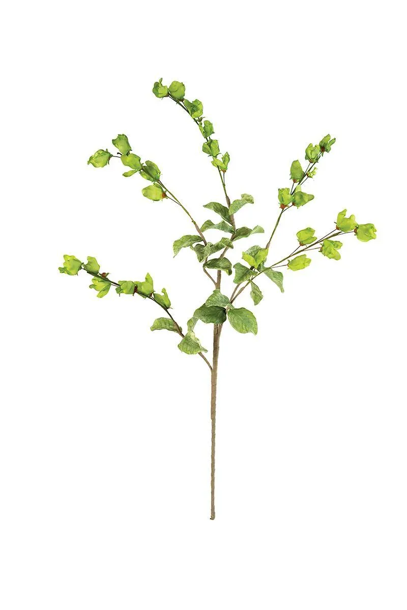 Botanica #3187 (Pack of 6)