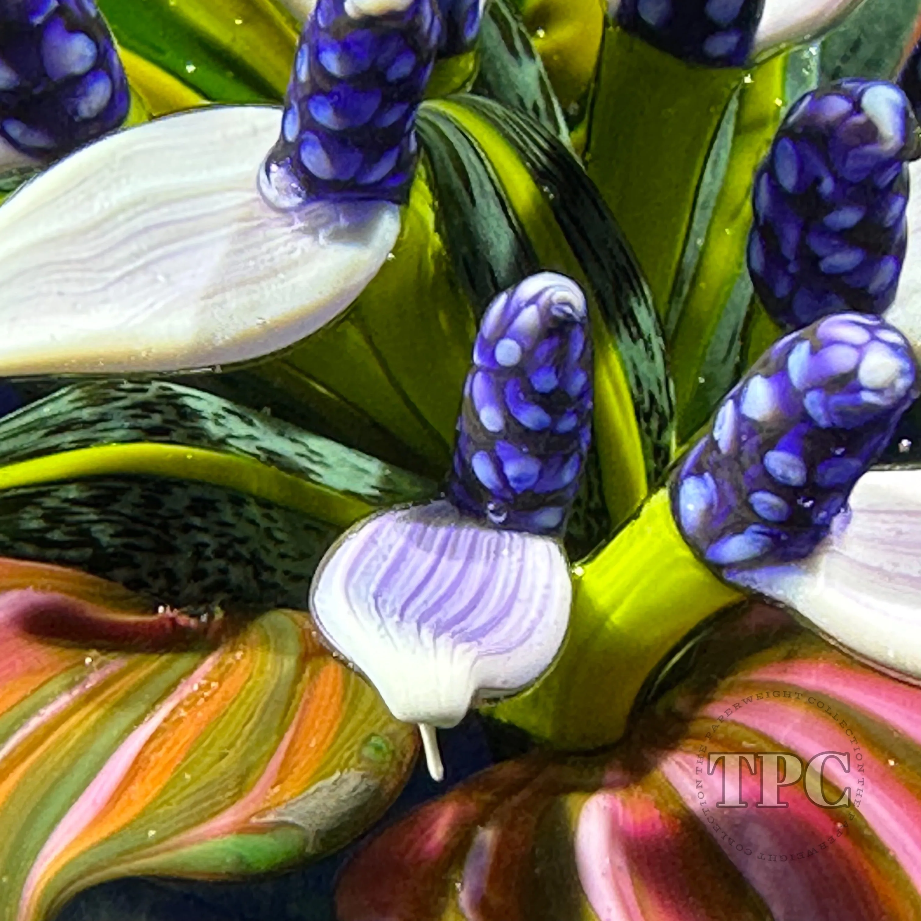 Cathy Richardson 2013 Glass Art Paperweight Flamework Purple Tropical Flowers from the Brazilian Series 2 of 8