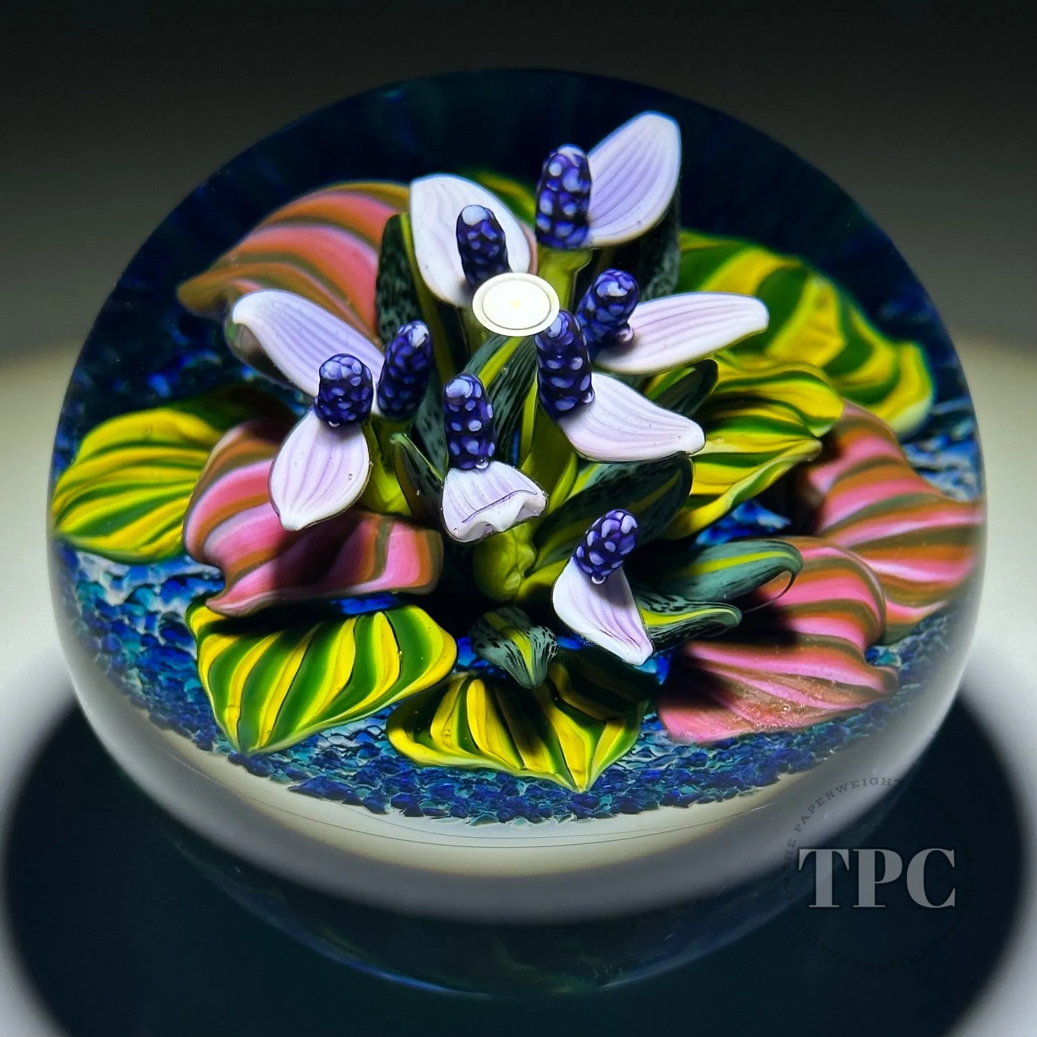 Cathy Richardson 2013 Glass Art Paperweight Flamework Purple Tropical Flowers from the Brazilian Series 2 of 8