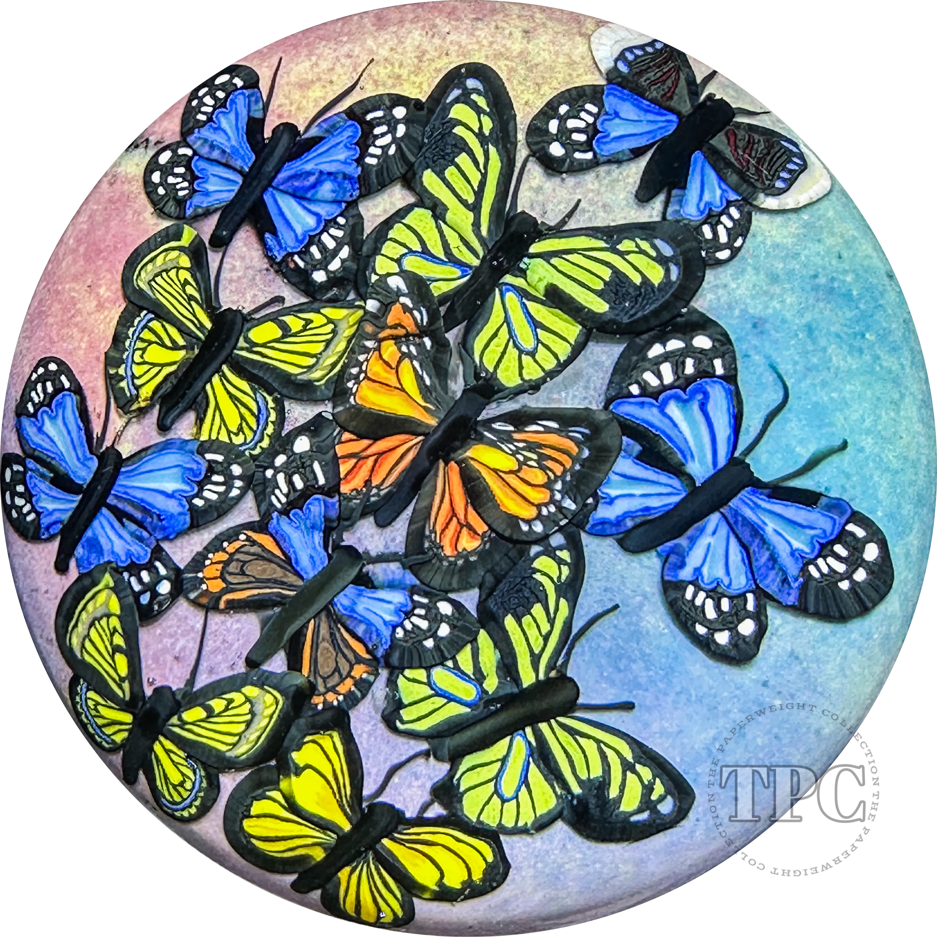Cathy Richardson 2024 Glass Art Paperweight Flamework Butterfly Cloud 1 of 1