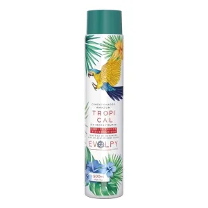 Conditioner 500ml Bio-Reconstructor Tropical Amazon Evolpy Liss