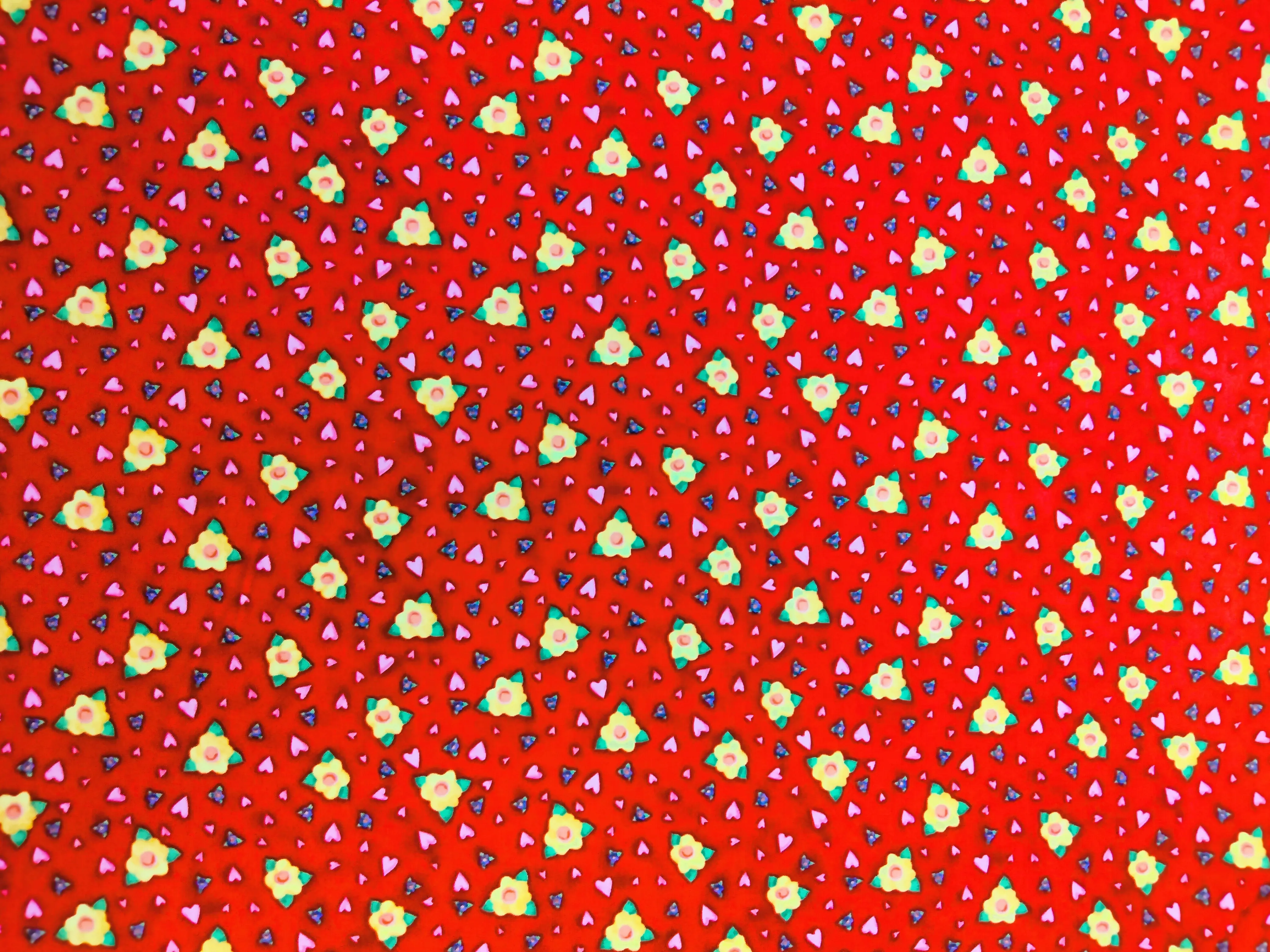 Crazy Cats Red