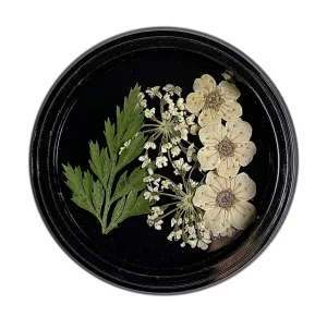 Cream Dried Flowers