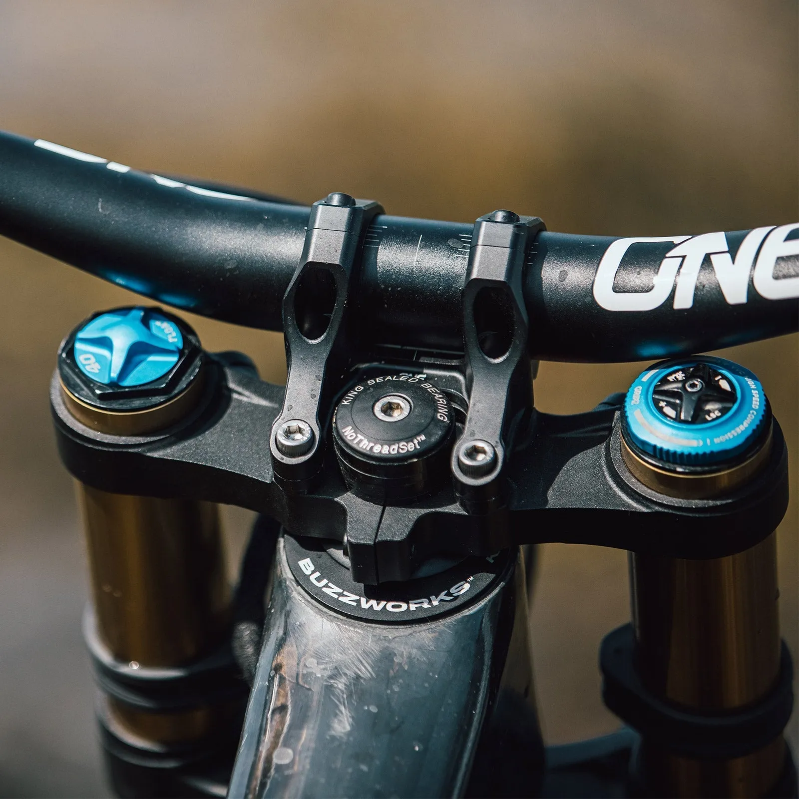 Direct Mount Stem