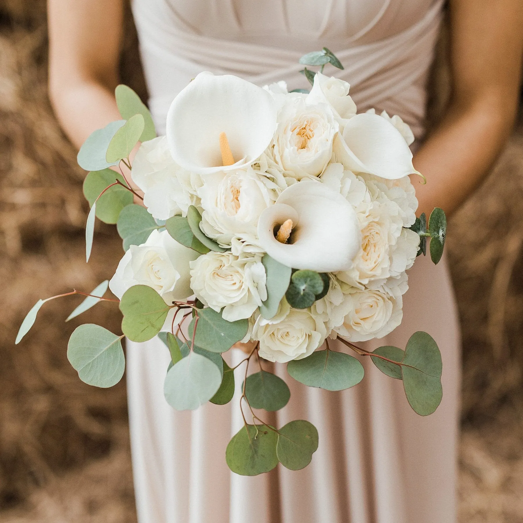 Intimate Package | Purity