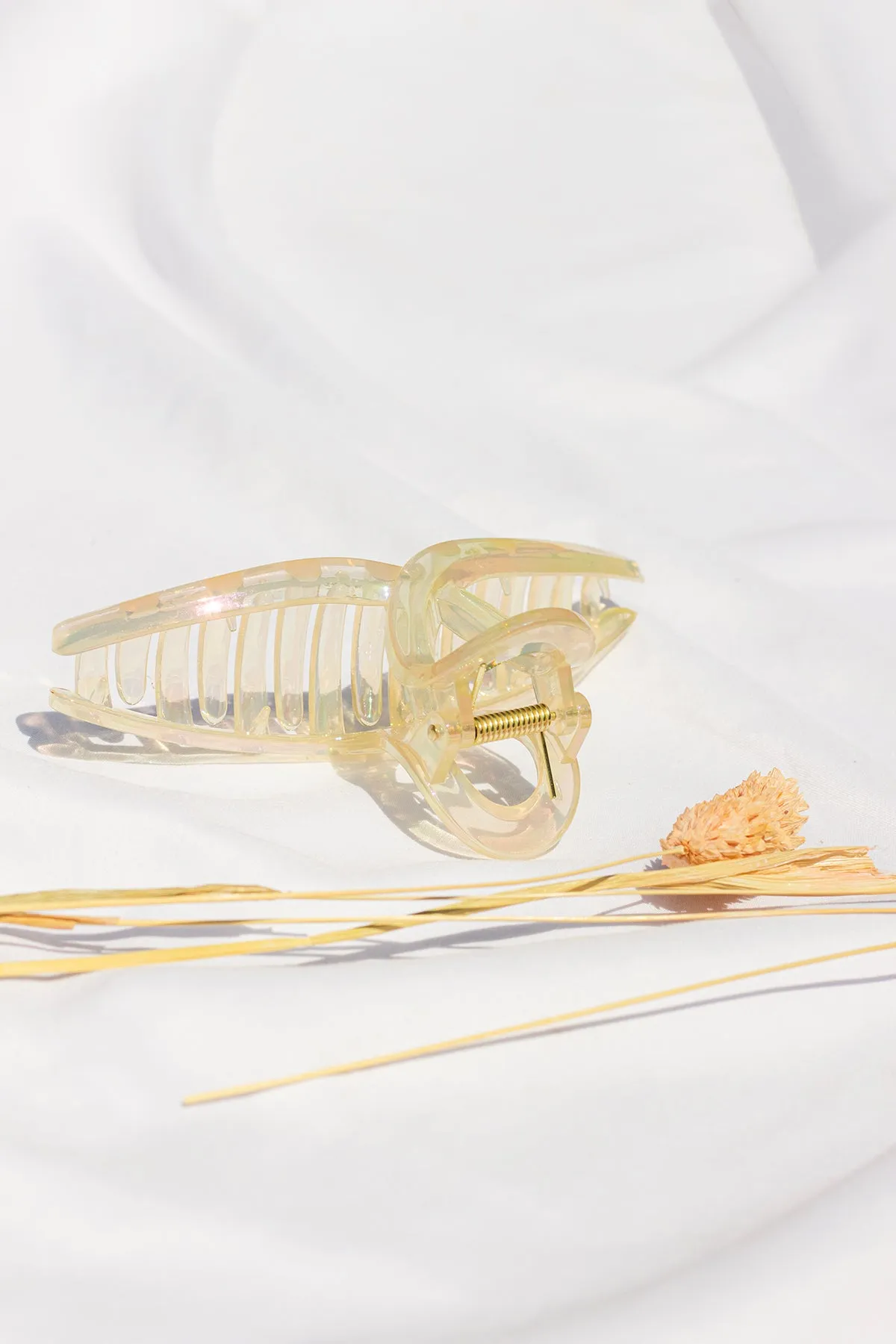 Iridescent Loop Claw Clip