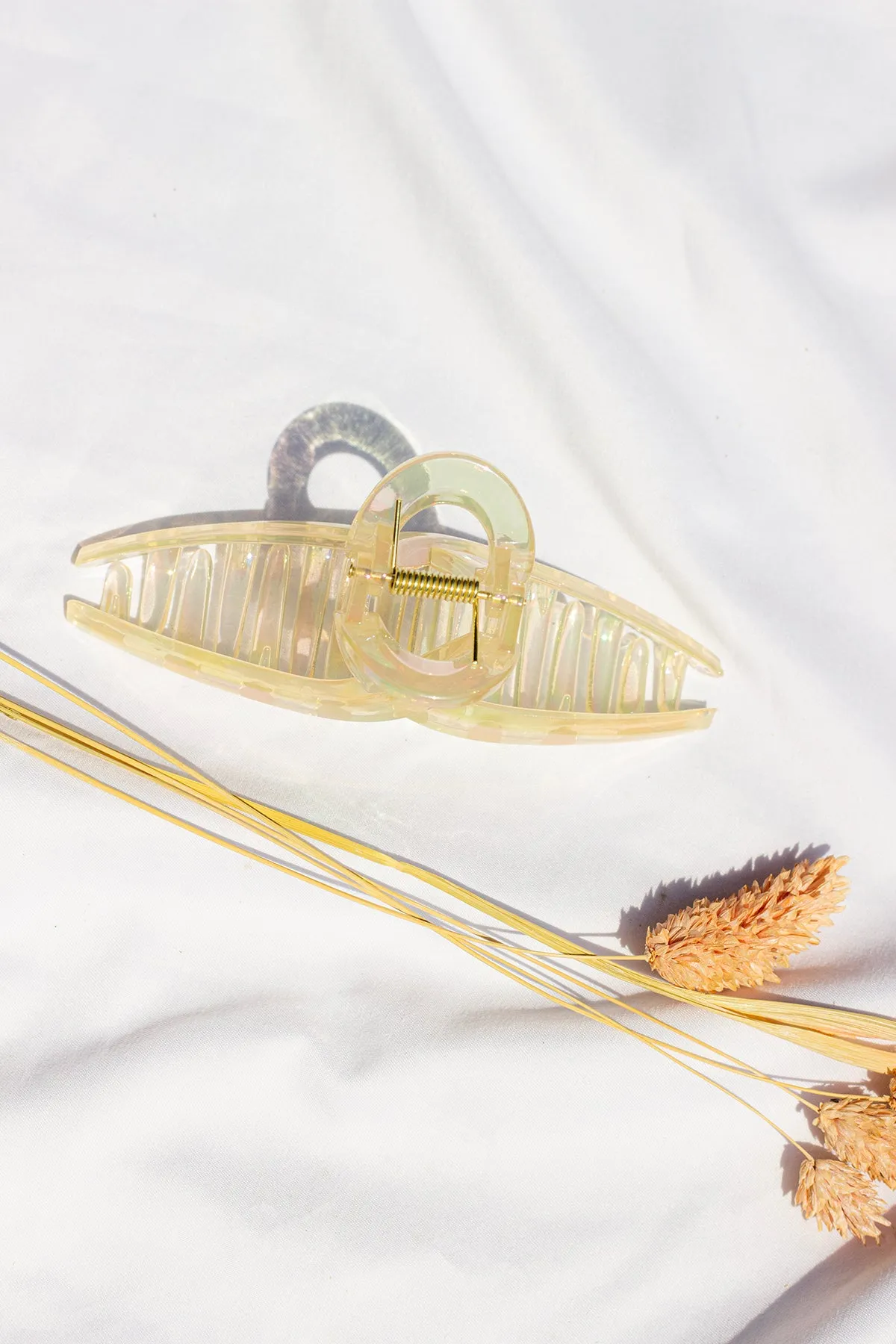 Iridescent Loop Claw Clip