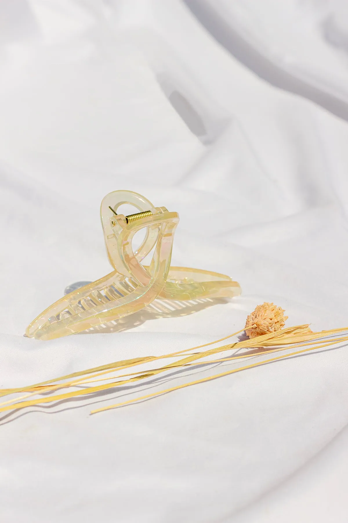 Iridescent Loop Claw Clip