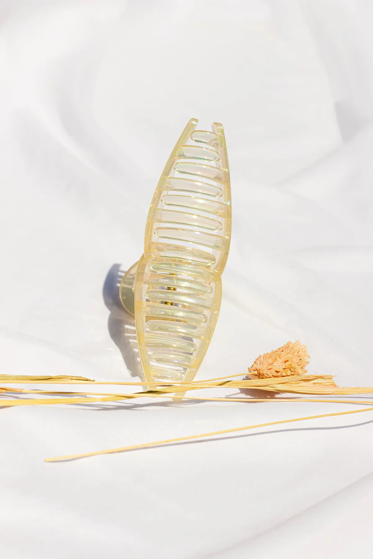Iridescent Loop Claw Clip