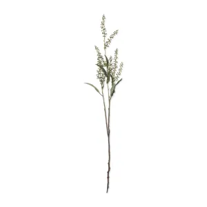 Myrtle Stem