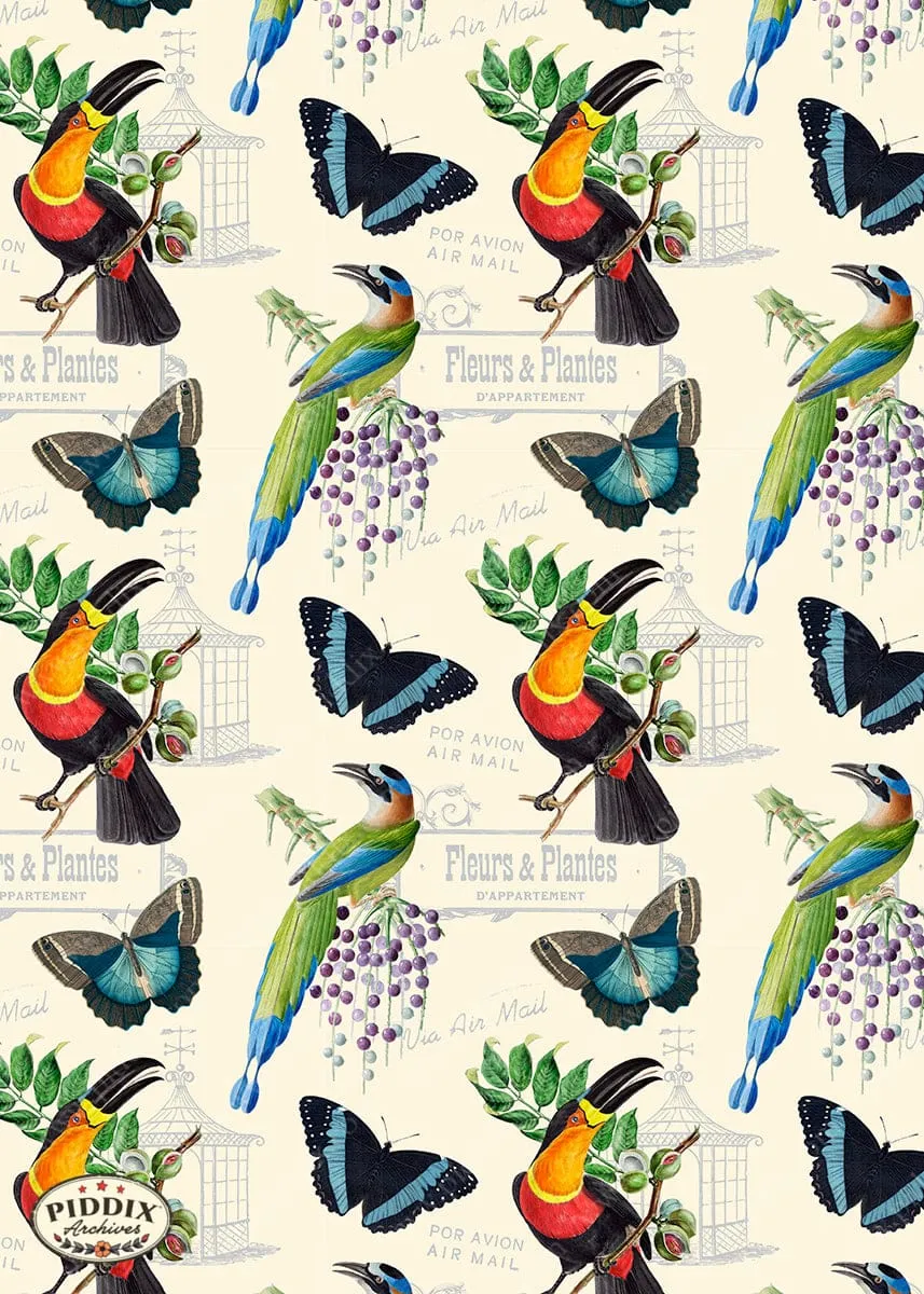 PDXC21034 Bird Pattern -- Birds Flowers and Butterflies