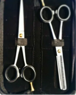 Professional Hair Cutting Thinning Scissors Barber Shears Hairdressing Set