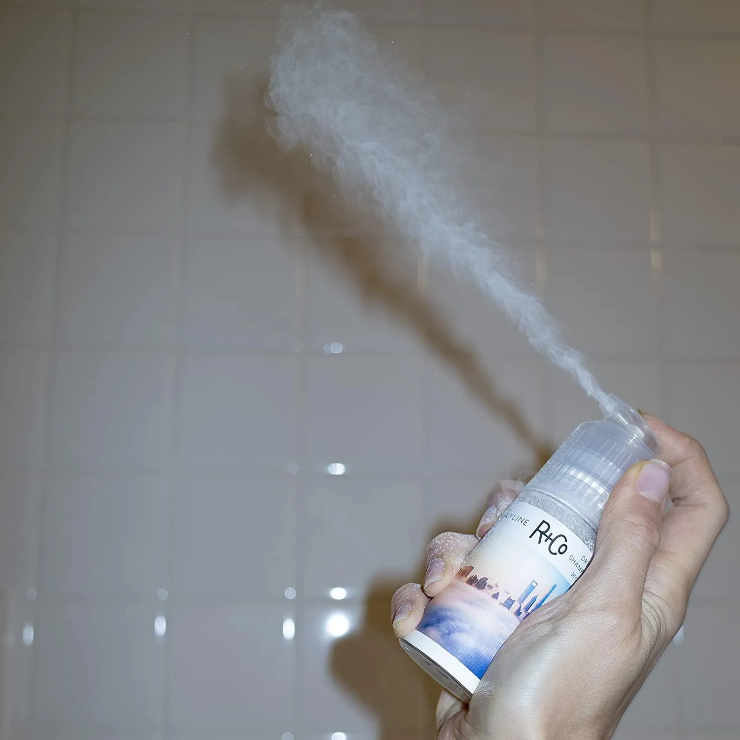 R CO SKYLINE Dry Shampoo Powder