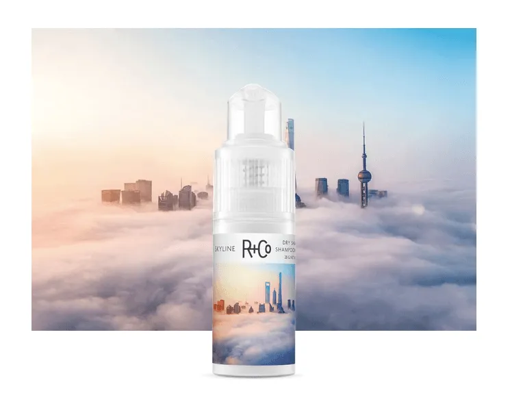 R CO SKYLINE Dry Shampoo Powder