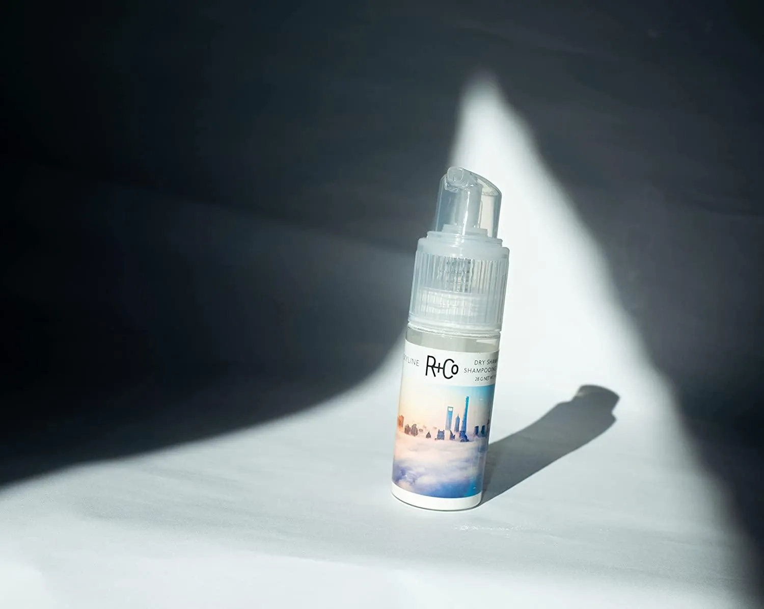 R CO SKYLINE Dry Shampoo Powder