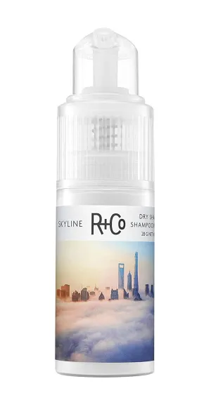 R CO SKYLINE Dry Shampoo Powder