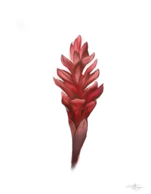 Red Ginger