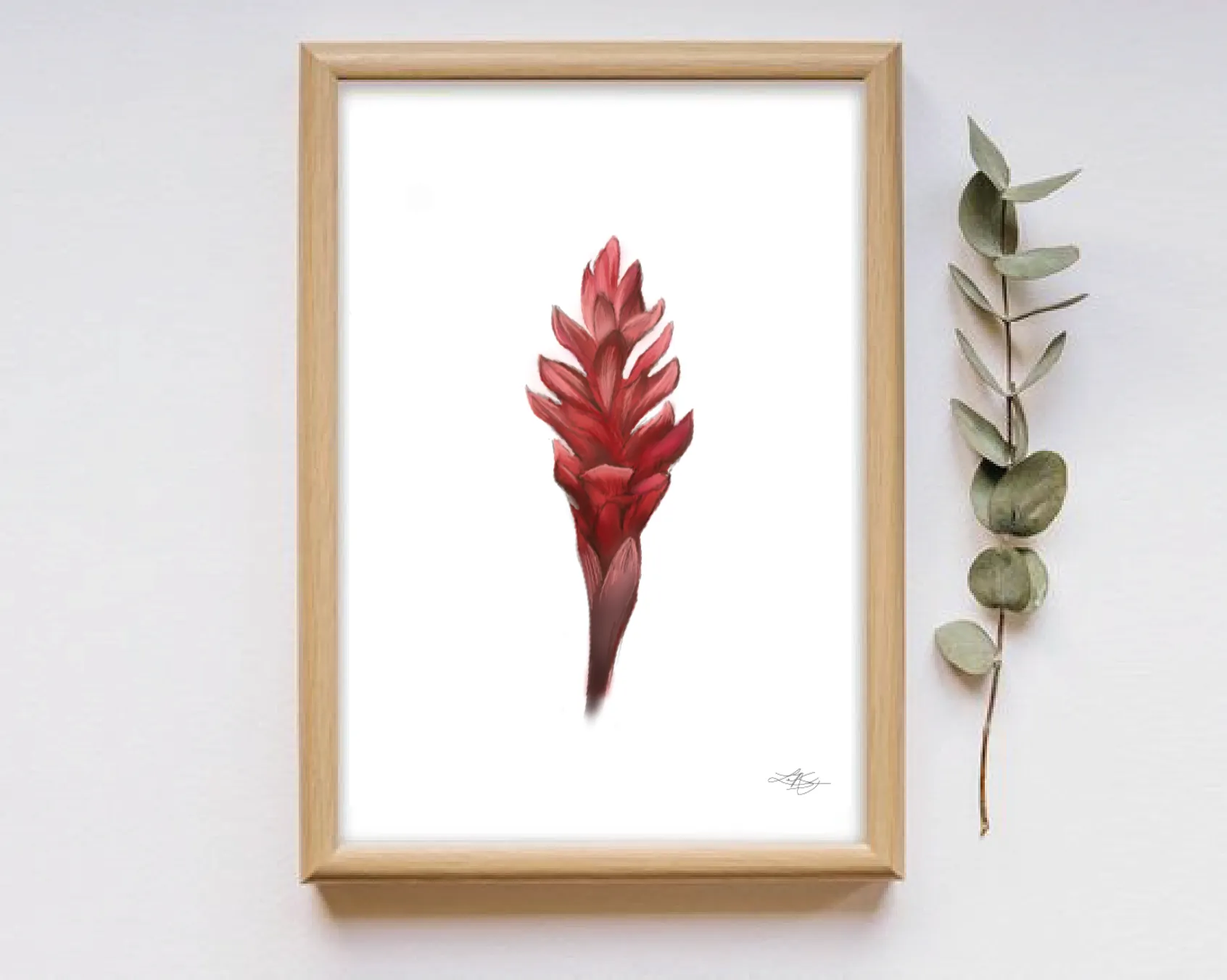Red Ginger
