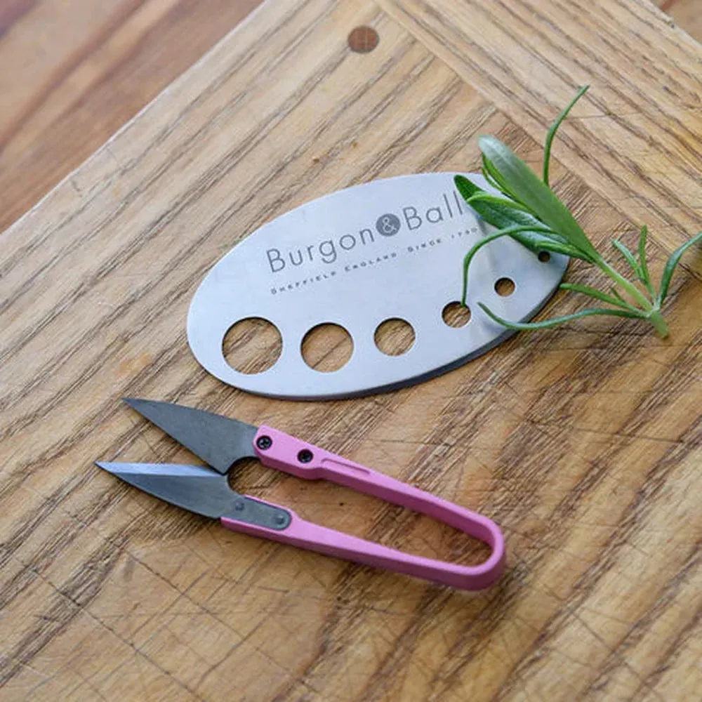 RHS Herb Snip and Herb Stripper Set - Asteraceae