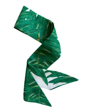 SBB x AvA: Short & Wide Queen Palm Ribbon