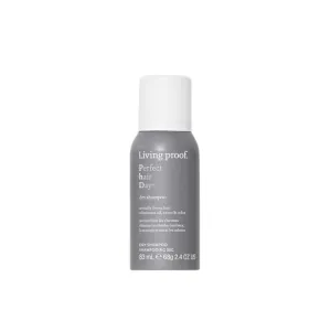 Shampoing sec Perfect hair Day