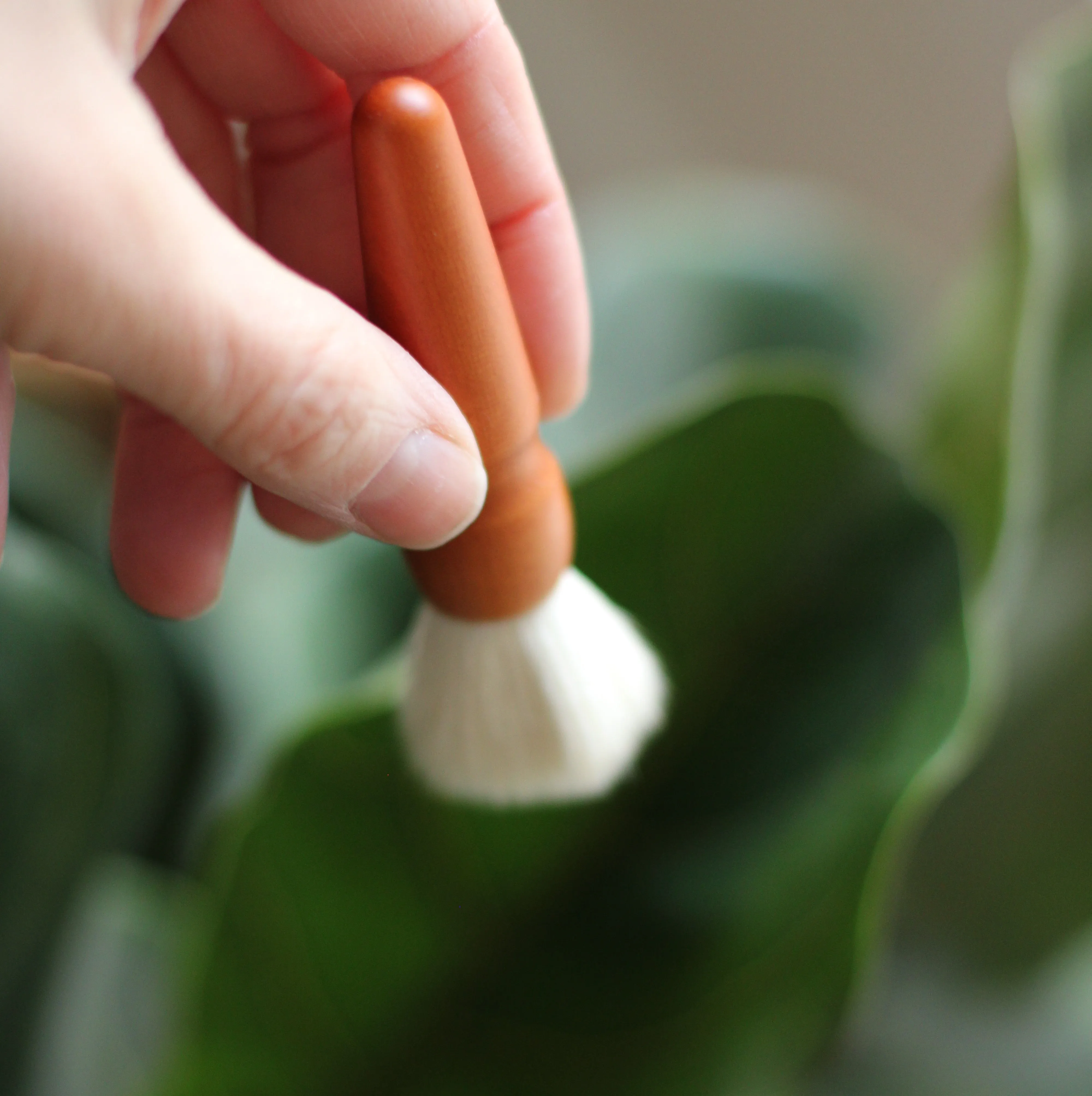 Southside Plants | Plant Duster Brush, choose size