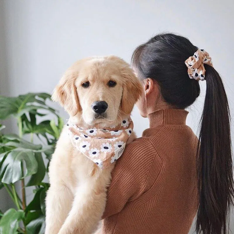 The Paws Fun Scrunchies - Ziggy