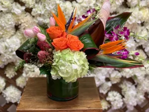 Tropical Designers Choice