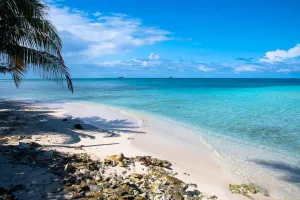 Water Cay Beach Landscape