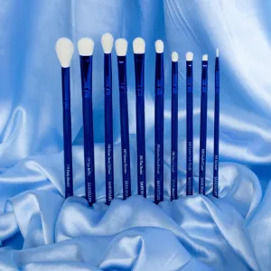 WATERLILY- 10 Piece Eye Brush Set