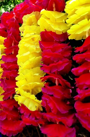 Welcome Flower garlands