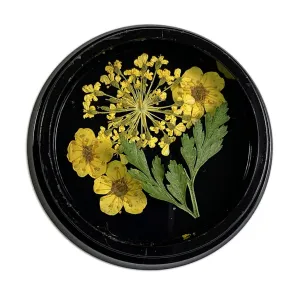 Yellow Dried Flowers
